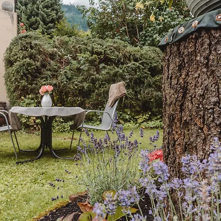 Ferienappartment Brandner-3 By Interhome Apartment *